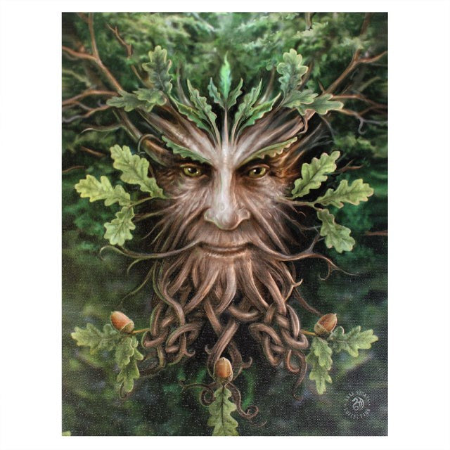 19x25cm Oak King Canvas Plaque by Anne Stokes