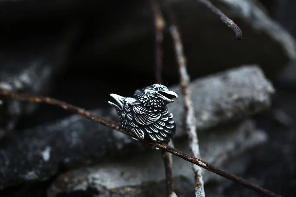 3D Viking Entwined Ravens Ring Norse Mythology Odin Crow Rings For Men Amulet Jewellery