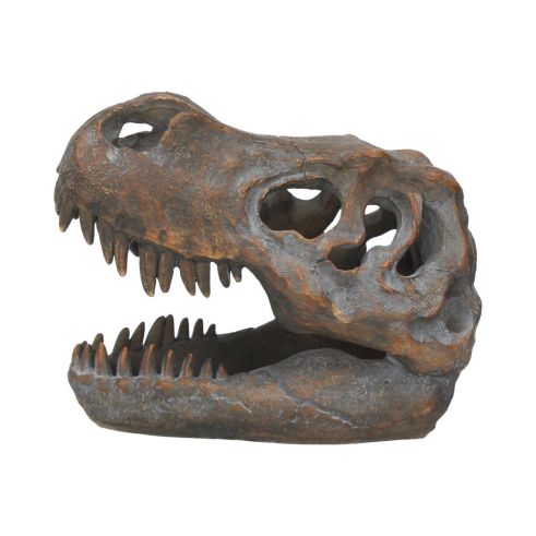 Tyrannosaurus Rex Skull Freestanding 16cm