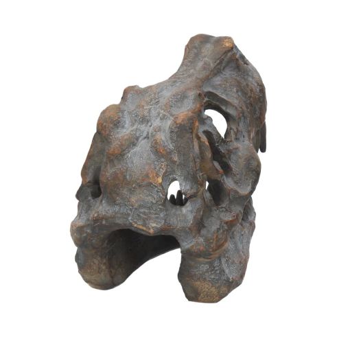 Tyrannosaurus Rex Skull Freestanding 16cm