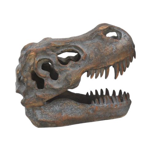 Tyrannosaurus Rex Skull Freestanding 16cm