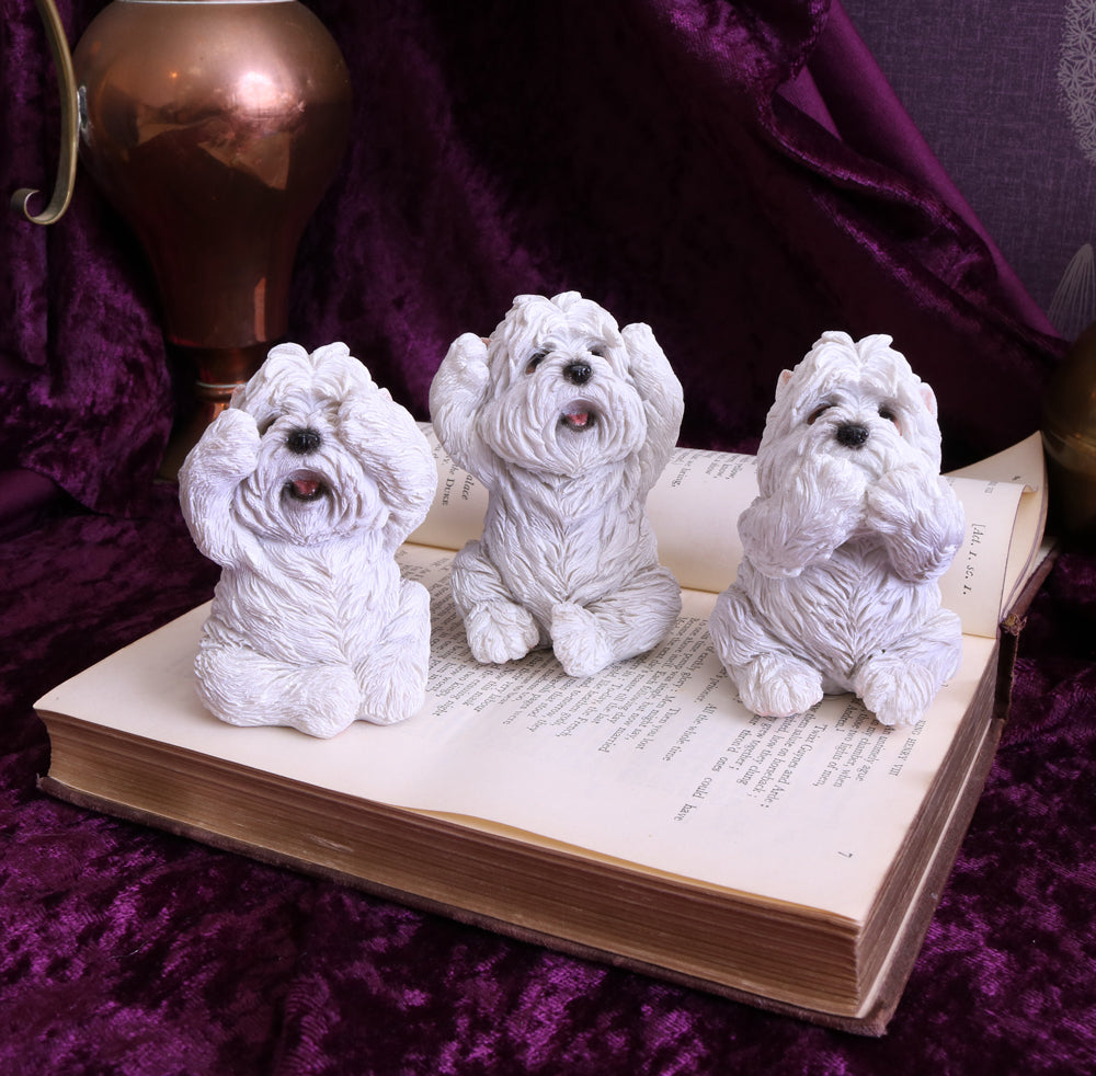 Three Wise Westies 8cm