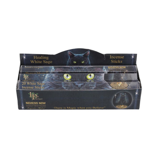 Healing Incense Sticks White Sage (LP)