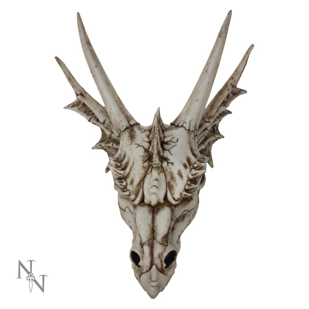 The Last Dragon Skull 32cm